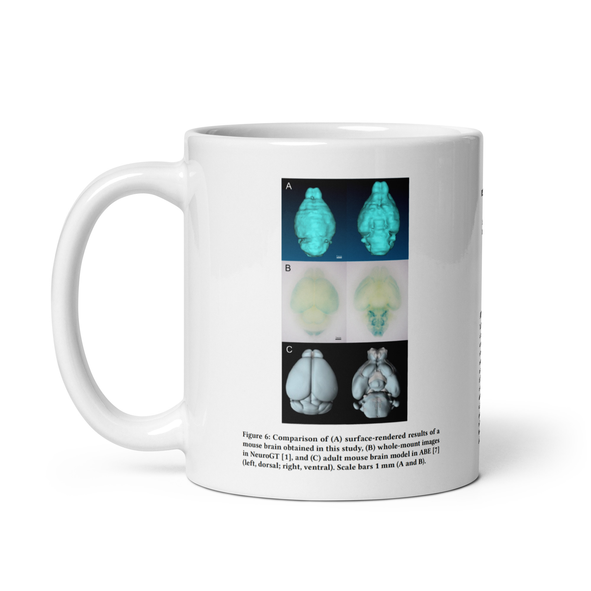 ICBET 2023 国際学会に採択 & 口頭発表