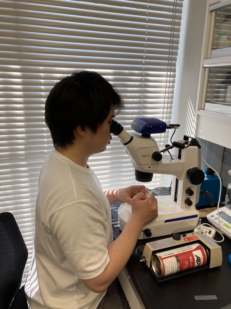 実体顕微鏡を購入