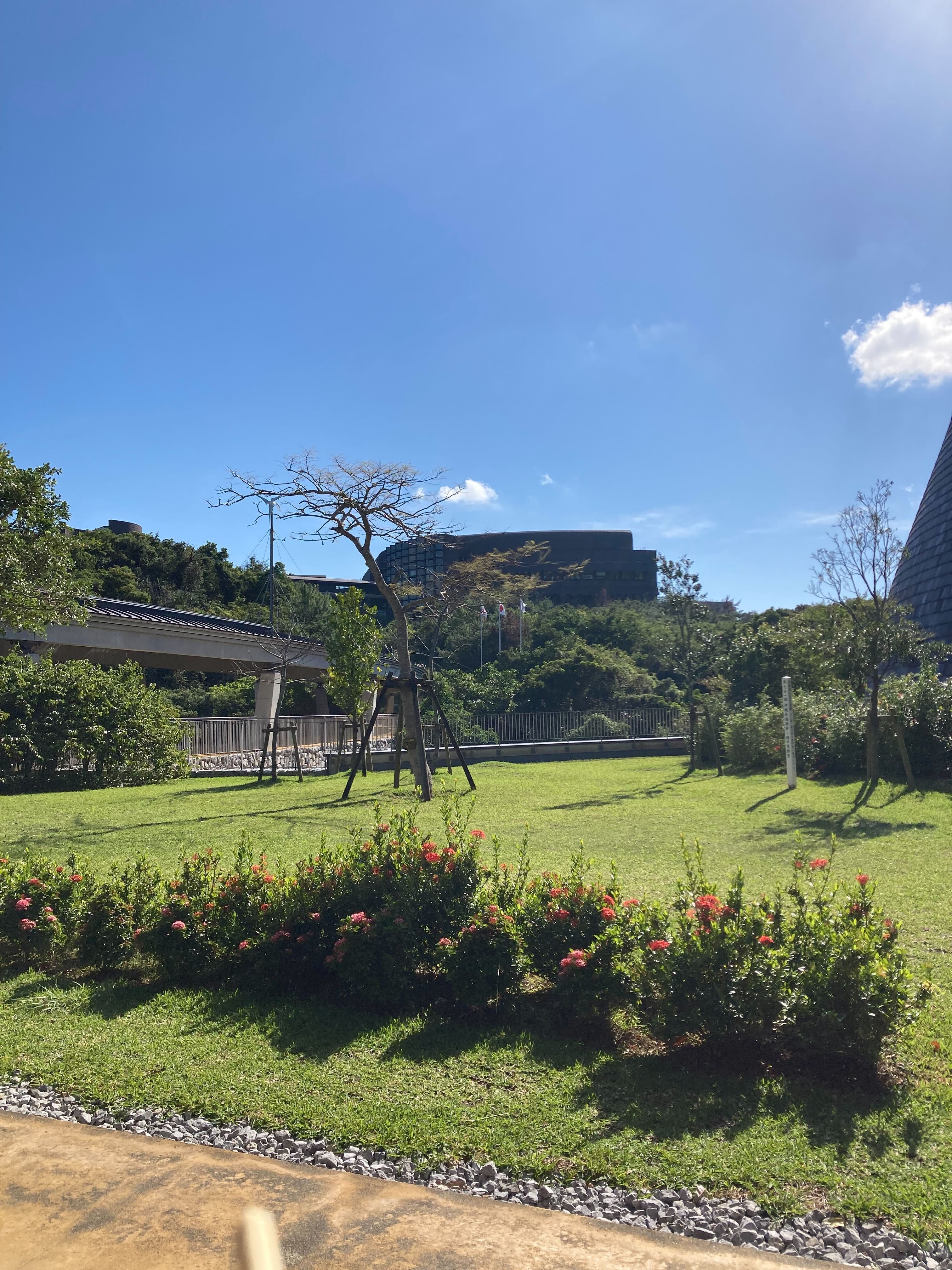 ICONIP2025で学会発表