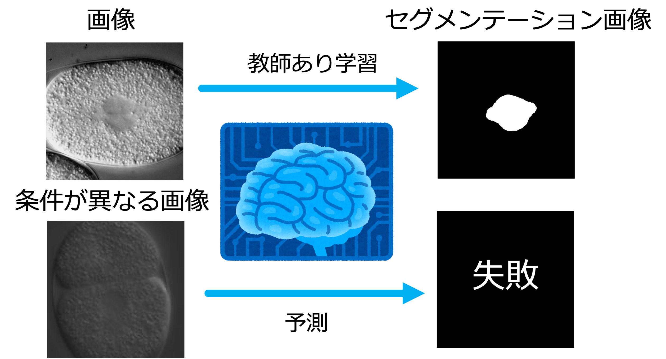 ドメインシフトの概念