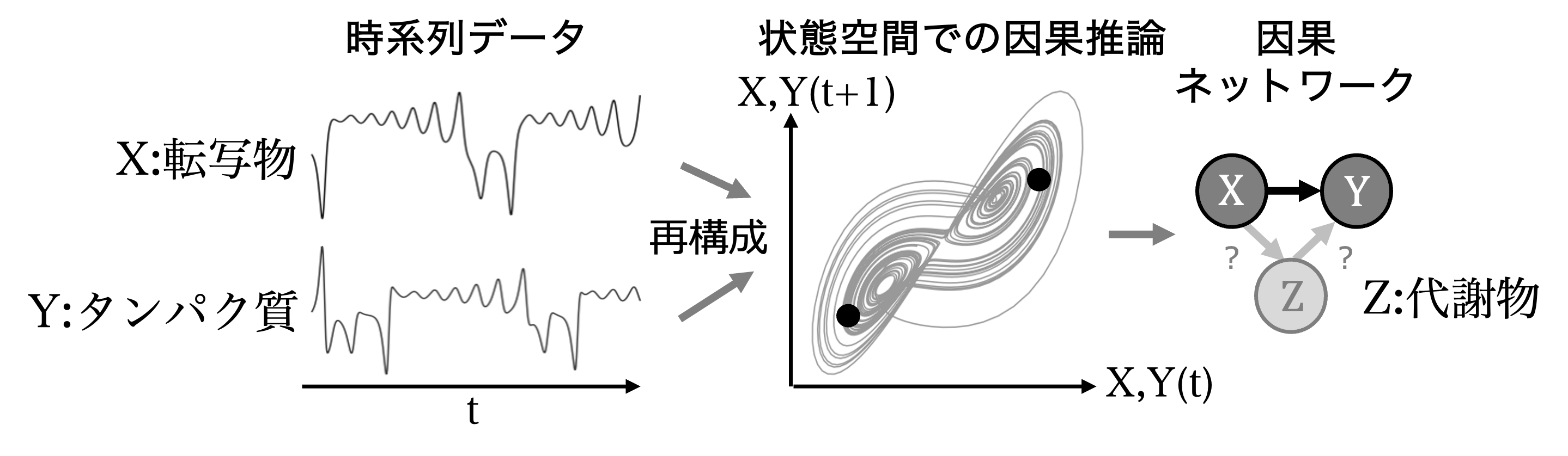 時系列データから因果関係を推定する枠組み